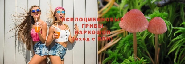 ПСИЛОЦИБИНОВЫЕ ГРИБЫ Богородск