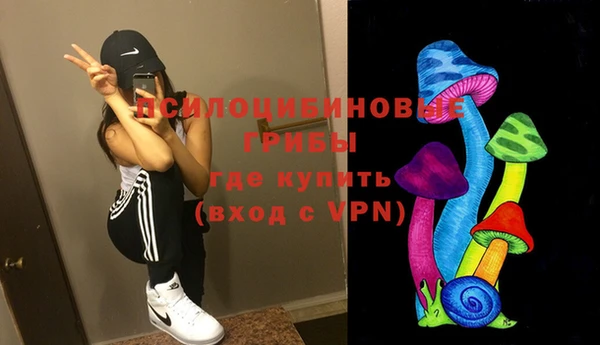 ПСИЛОЦИБИНОВЫЕ ГРИБЫ Богородск
