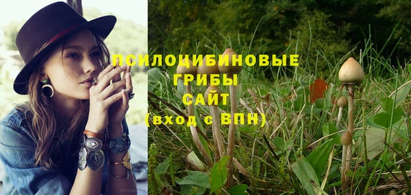 трава Богородицк