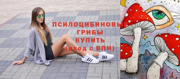 трава Богородицк