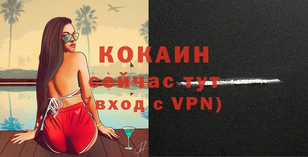 ПСИЛОЦИБИНОВЫЕ ГРИБЫ Белоозёрский