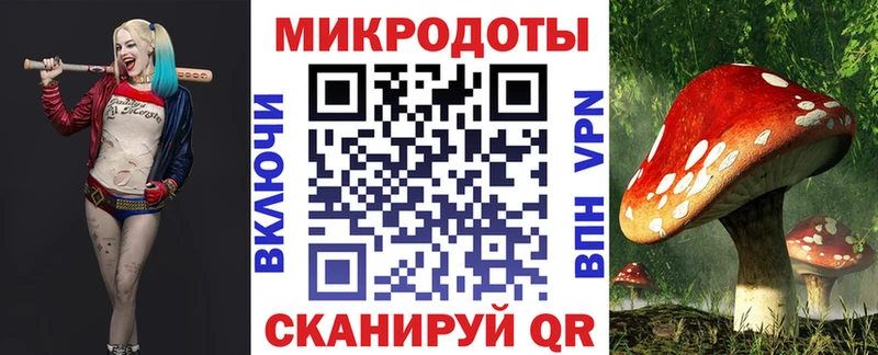 Псилоцибиновые грибы прущие грибы  Верхняя Пышма 