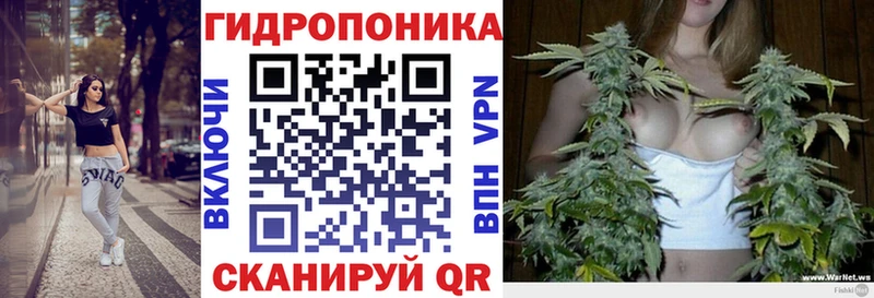 где найти наркотики  Верхняя Пышма  Бошки Шишки семена 